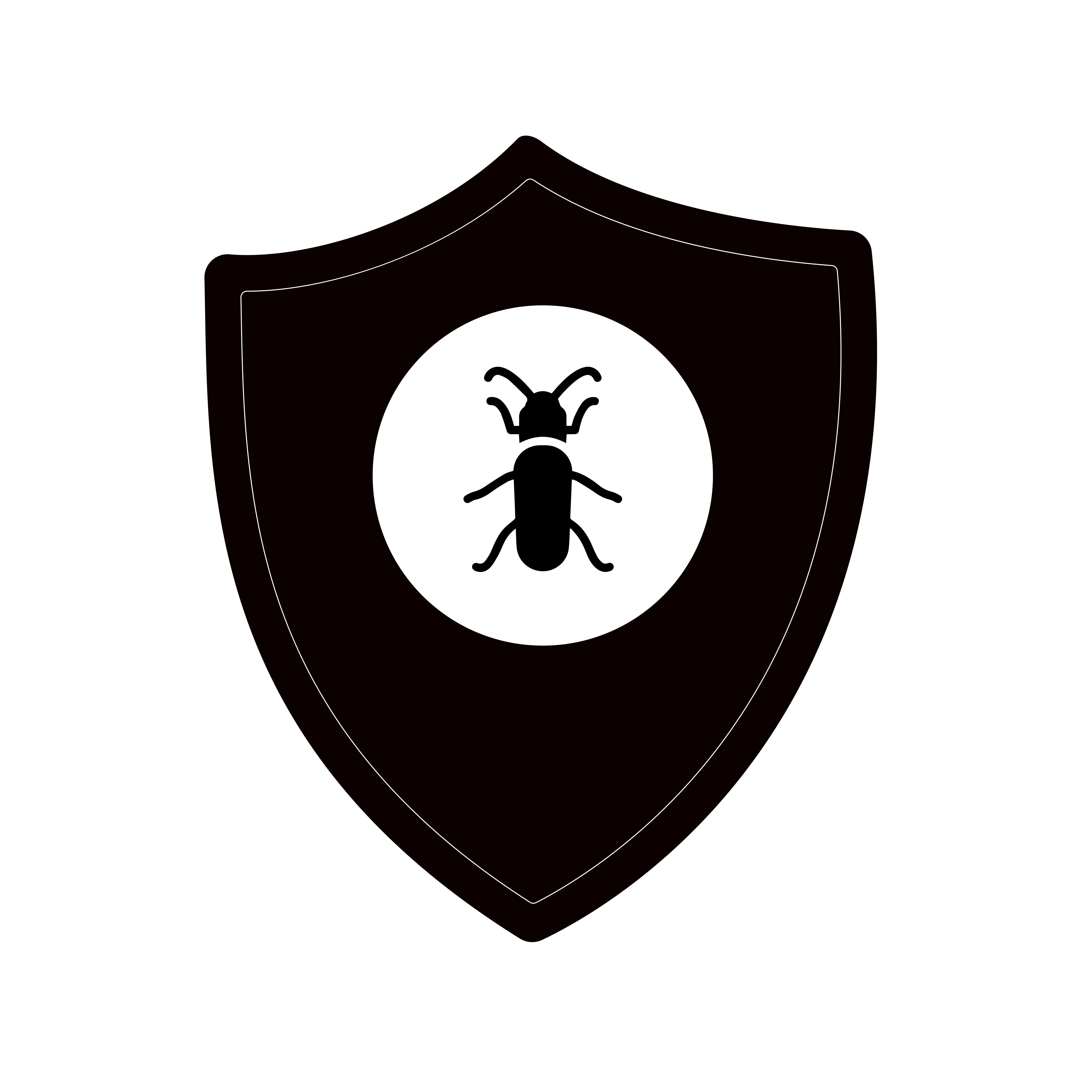 control_de_xilofagos